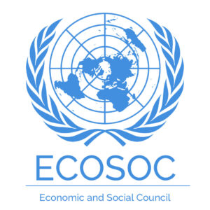 Logo ECOSOC